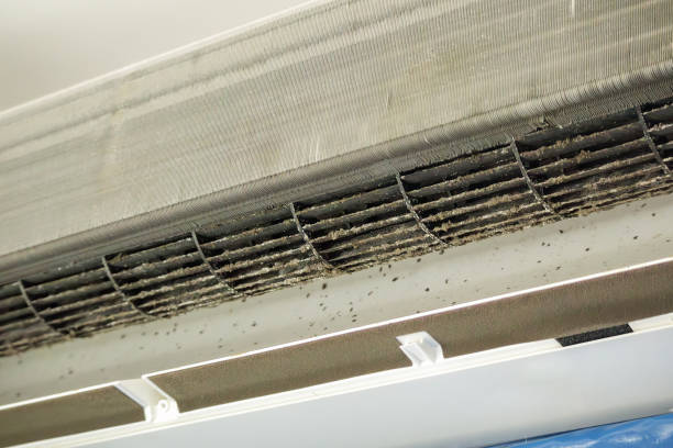 Best Professional Duct Cleaning Services  in Eastpointe, MI